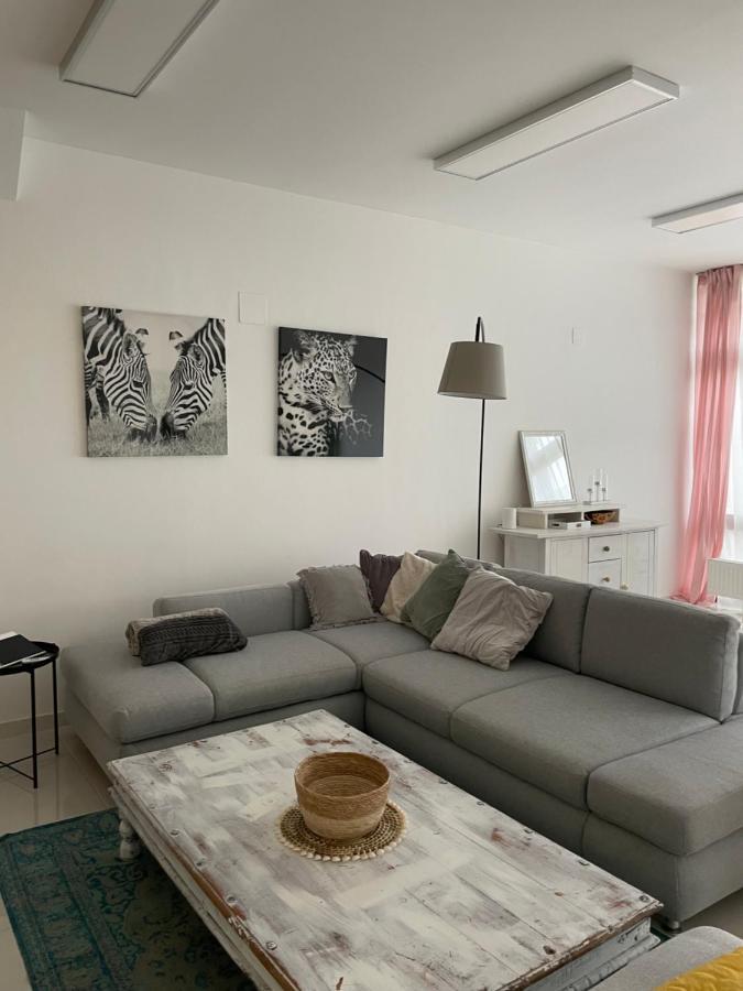 Stadtsuite Mit Sauna In Wiener Neustadt 135 M2 Extérieur photo